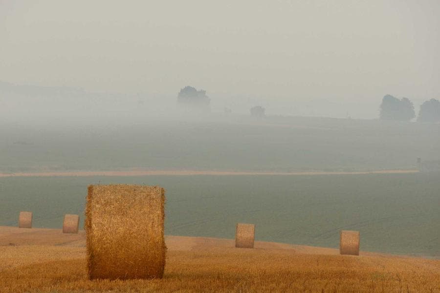 La Médina